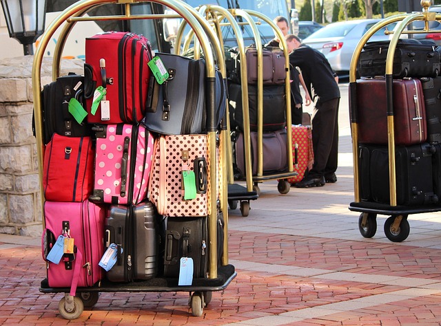 most expensive luggage brand